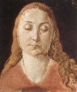 Portrait of a woman with Loose Hair Albrecht Durer